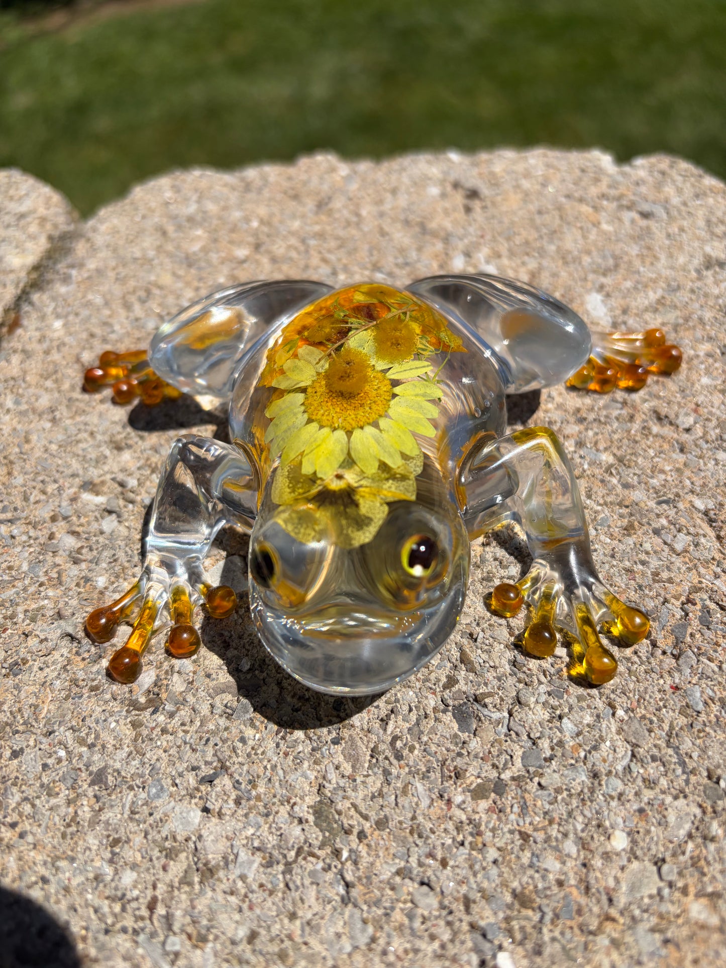 Resin Frogs