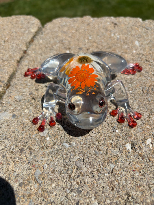 Resin Frogs